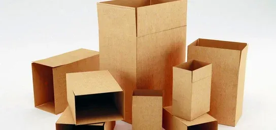Placeholder