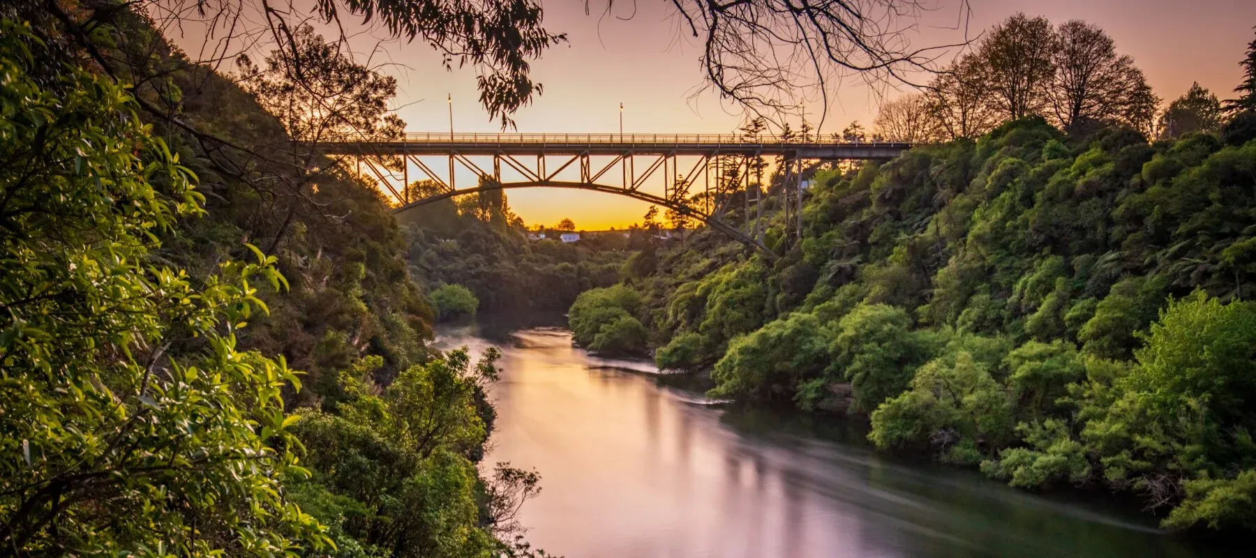 Charming Cambridge town with lush green fields and a rich equestrian heritage in New Zealand.