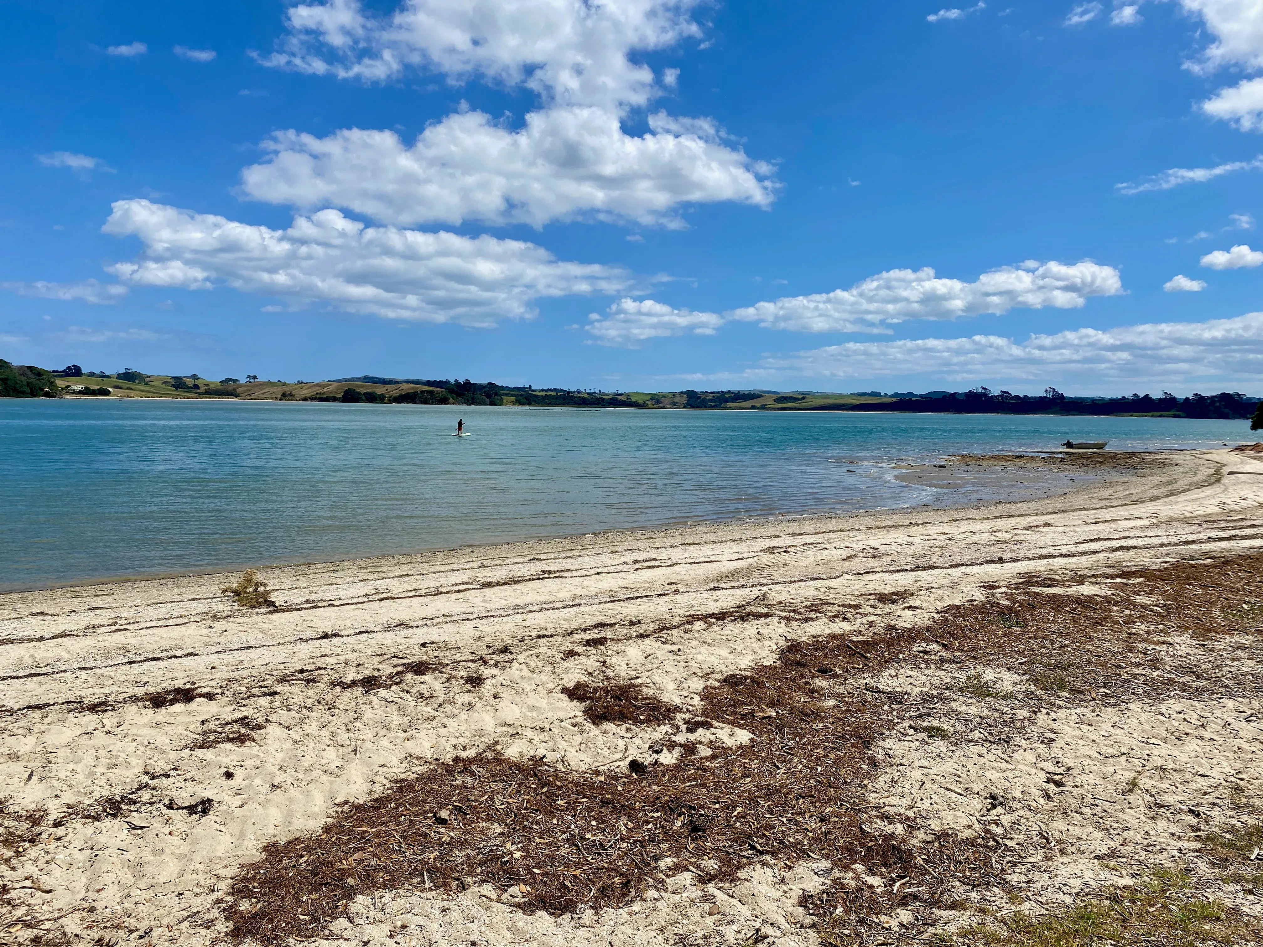 Pristine sands and calm waters of Clarks Beach, perfect for relaxation and water activities.