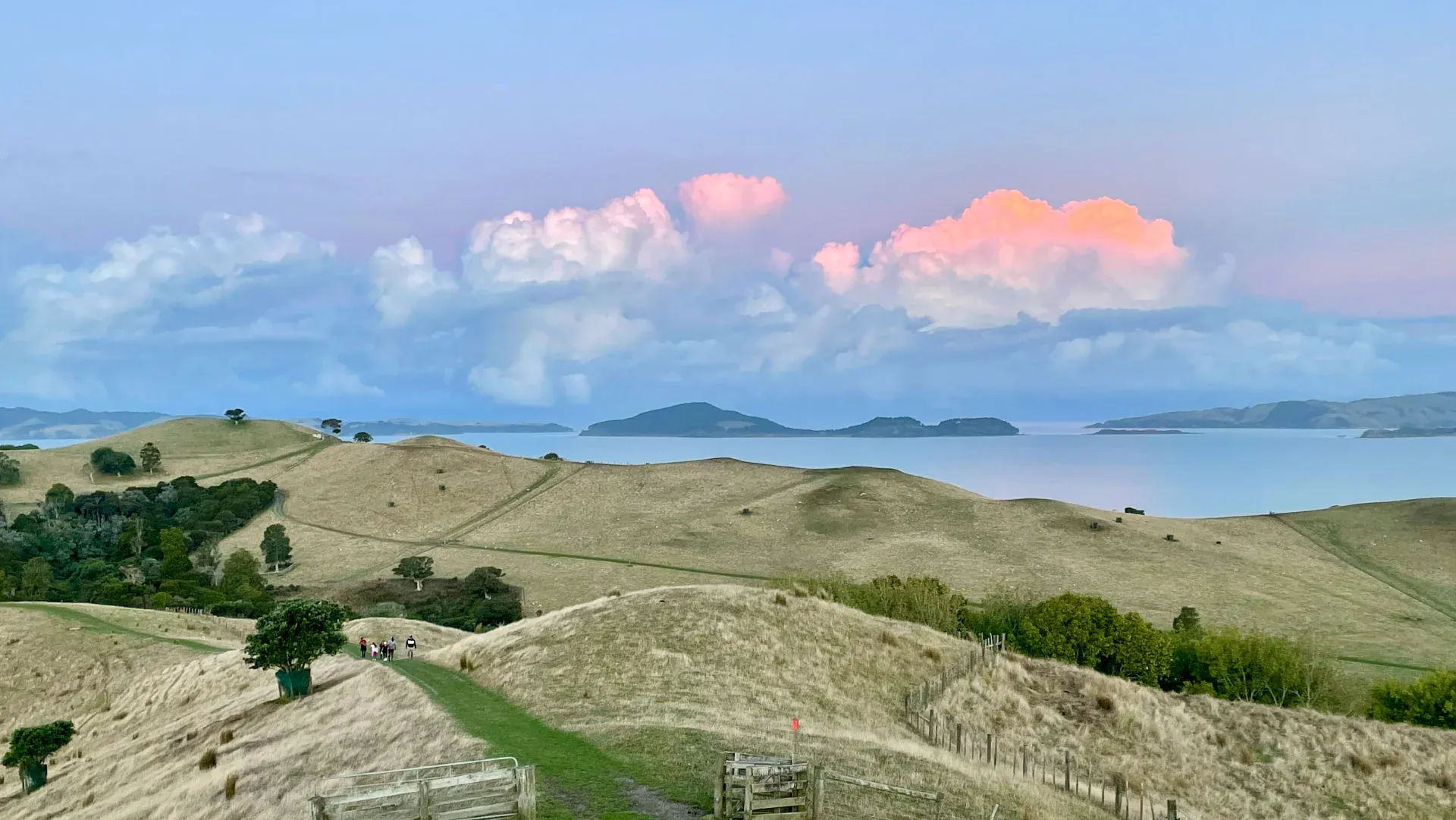 Rolling hills and coastal views in Clevedon at sunset, a picturesque rural escape near Auckland.