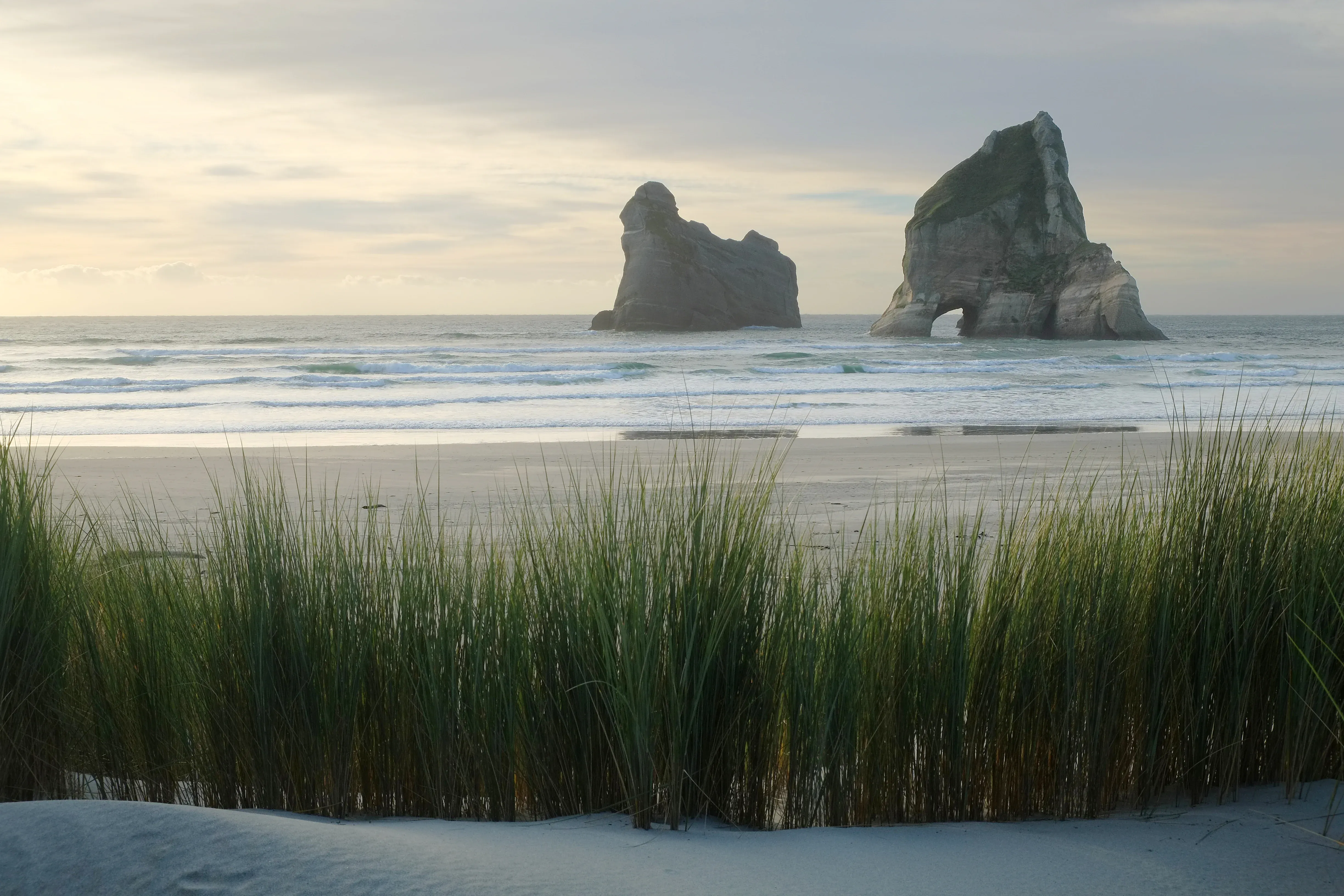 Collingwood's iconic rock formations, connecting local businesses with eco-tourism seekers.