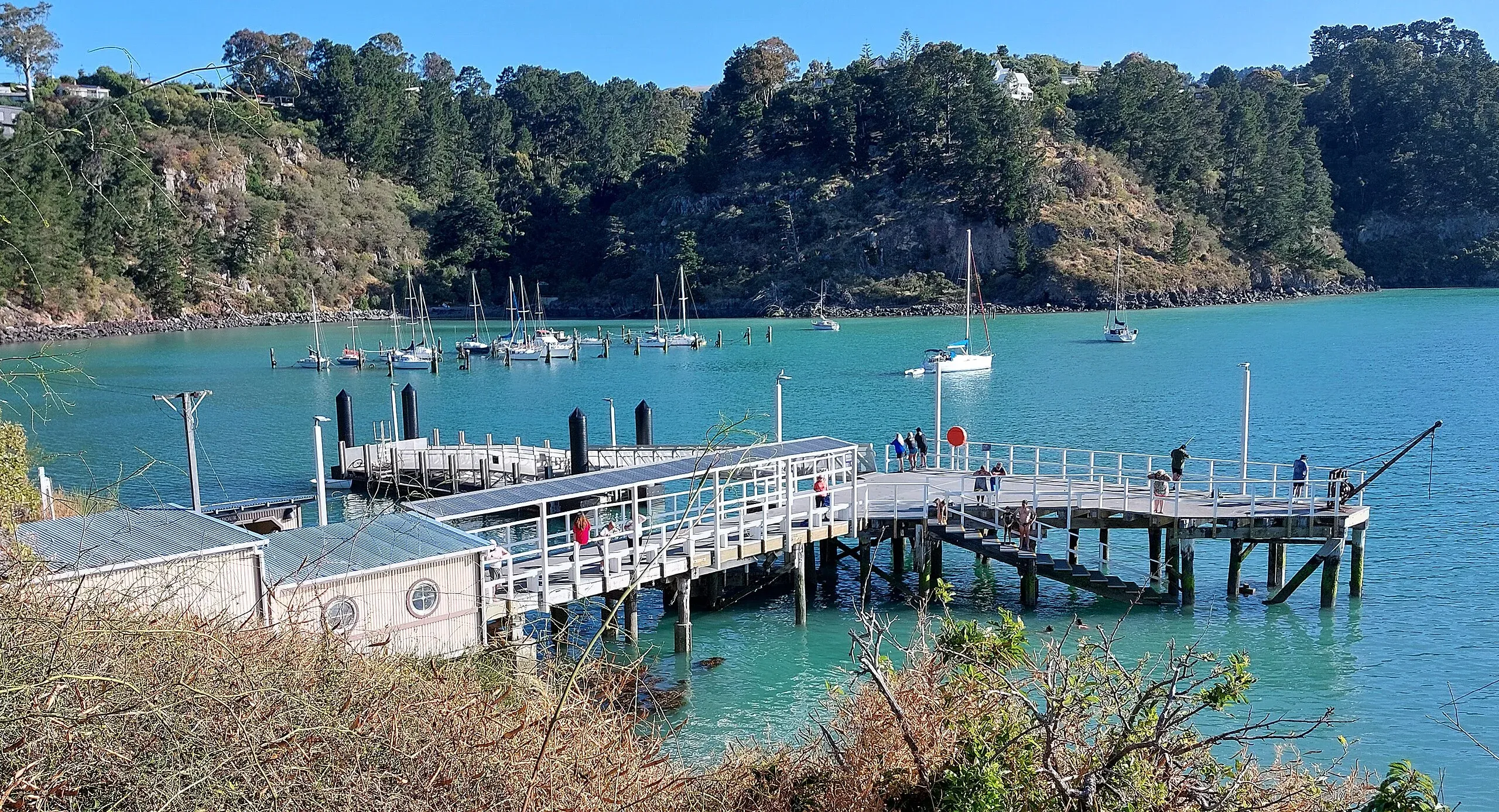 Diamond Harbour wharf with yachts and scenic views, connecting businesses to local tourism.