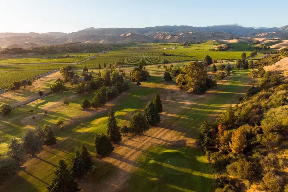 Fairhall vineyards and golf course at sunset, promoting Marlborough wine industry and leisure services.