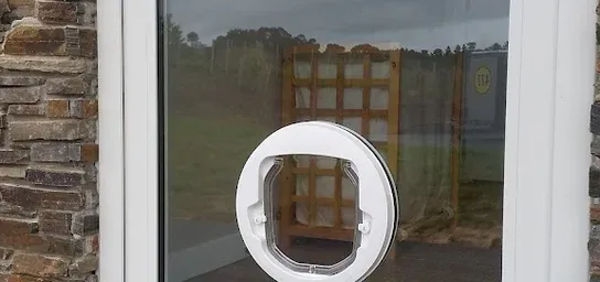 Placeholder