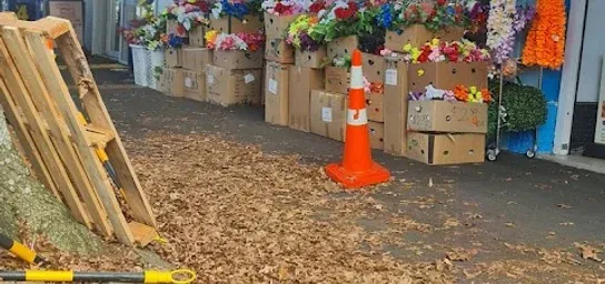 Placeholder