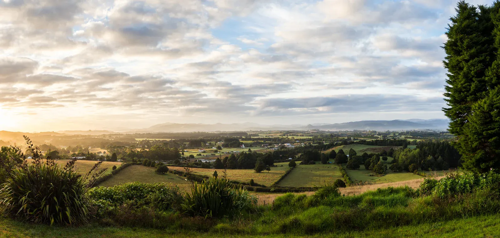 Kaikohe rural landscape with farmland, supporting agriculture and local enterprise opportunities.