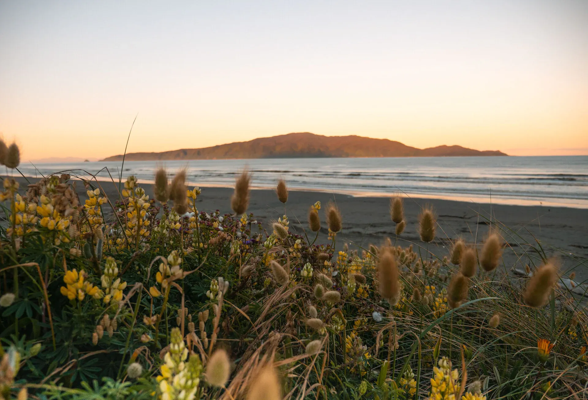 Kapiti Coast beach with a view of Kapiti Island, perfect for tourism, dining, and retail businesses.