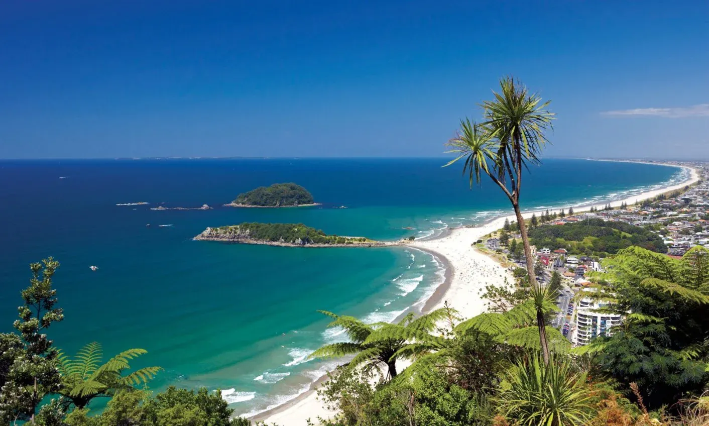 Katikati coastal view showcasing beaches and local attractions for tourism and hospitality businesses.