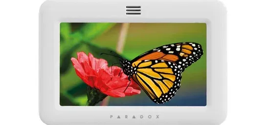 Placeholder
