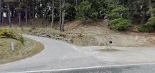 Placeholder