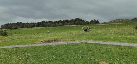 Placeholder