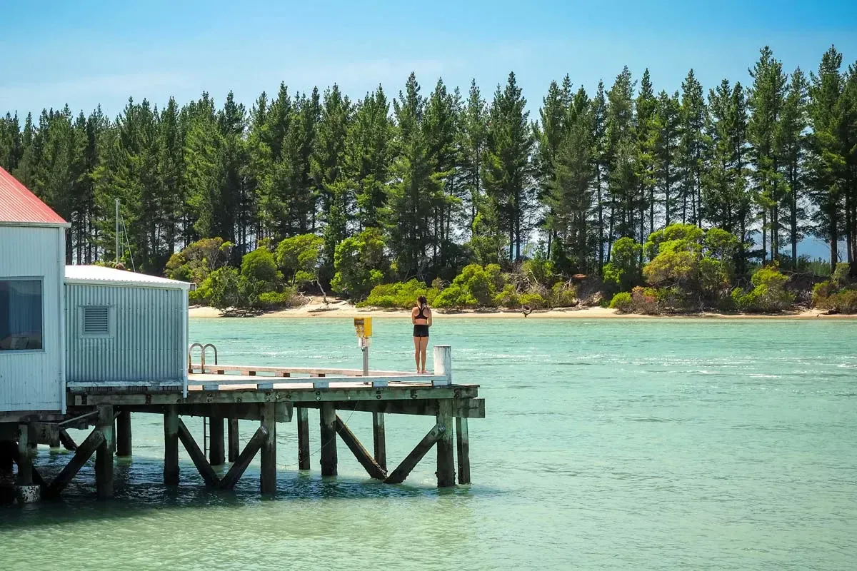 Mapua Wharf with scenic views of the sea and lush pine forest, Tasman, New Zealand.