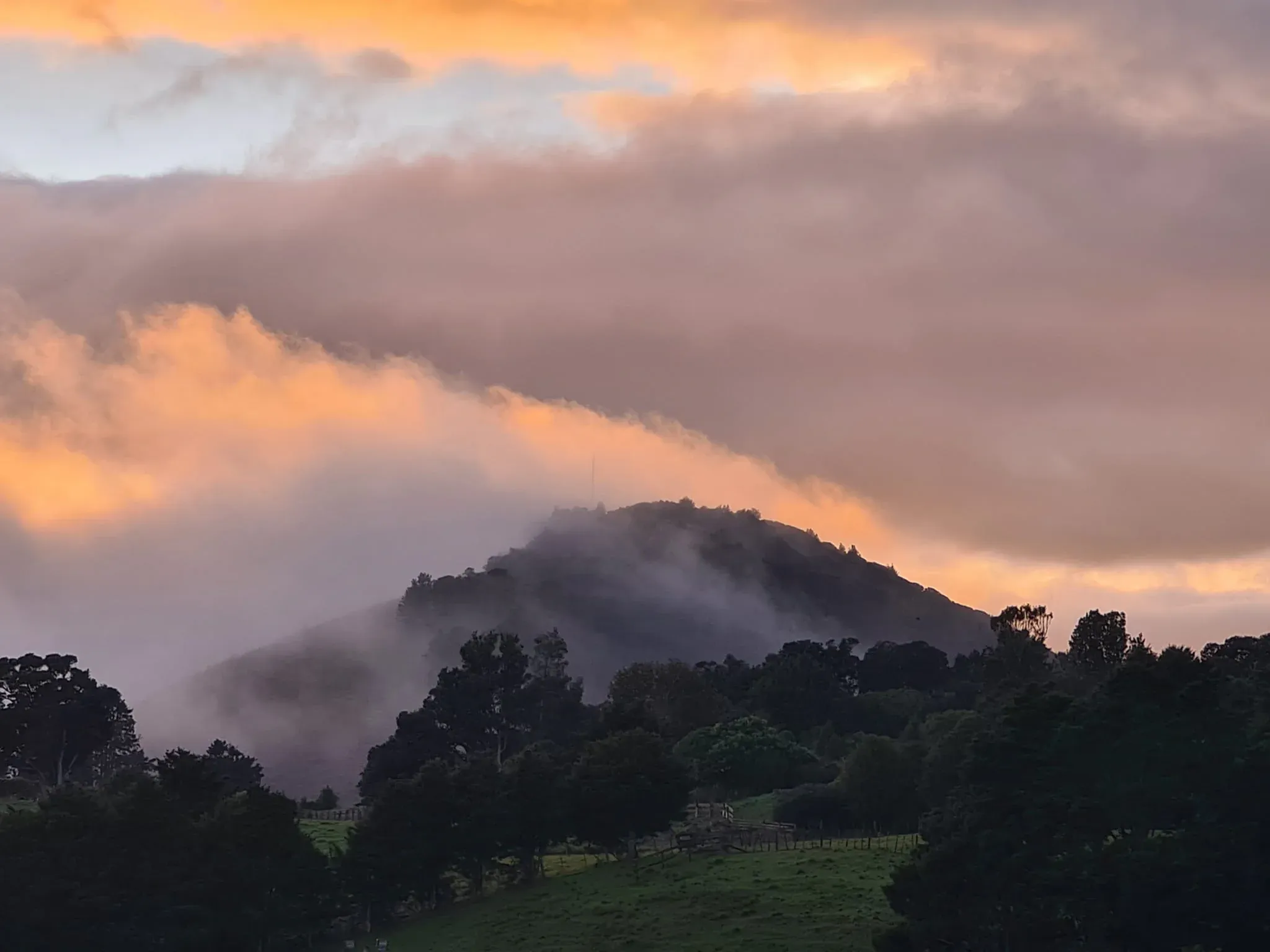 Misty hills and greenery in Maungatapere, Northland, known for its subtropical climate and agriculture.