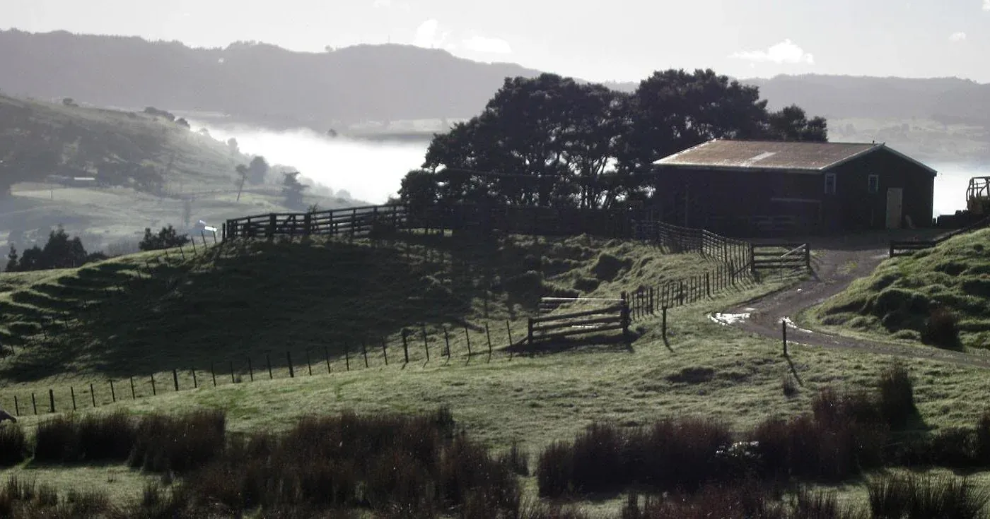 Foggy farm scene in Maungaturoto, lush green hills with a barn, a peaceful rural Northland location.