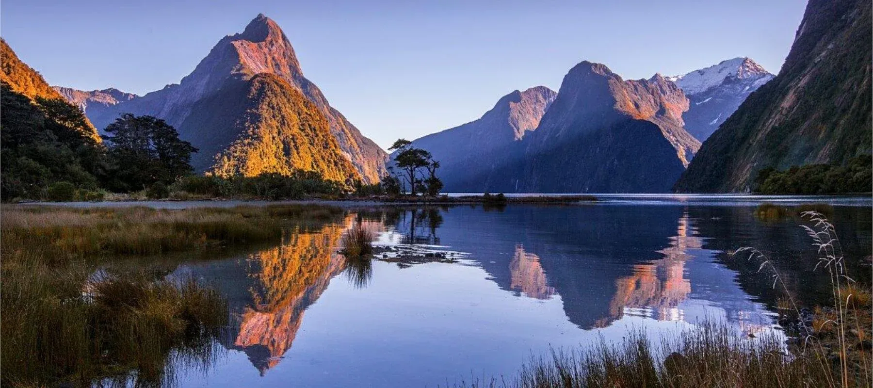 Milford Sound's reflective waters and peaks, showcasing tourism and adventure businesses.