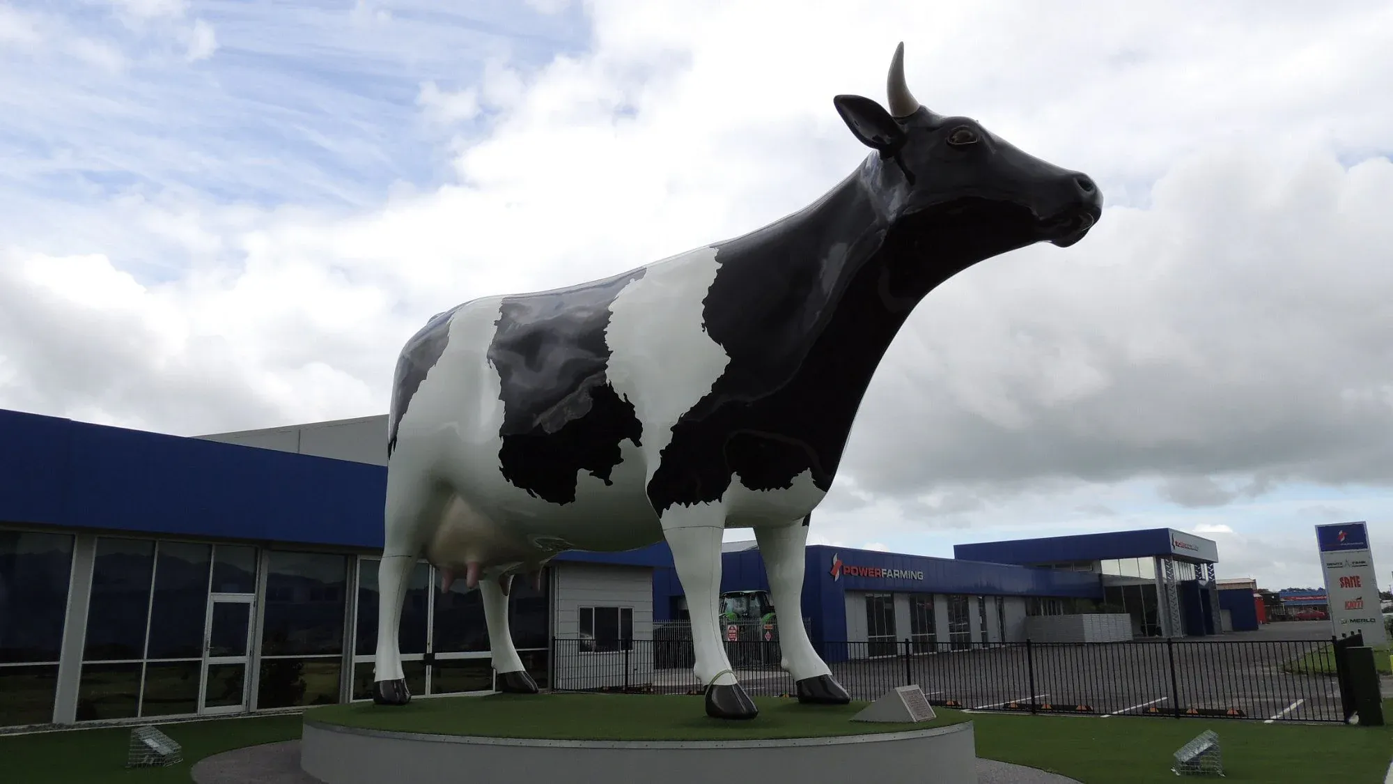 Large cow statue in Morrinsville, celebrating the dairy industry and local agriculture.