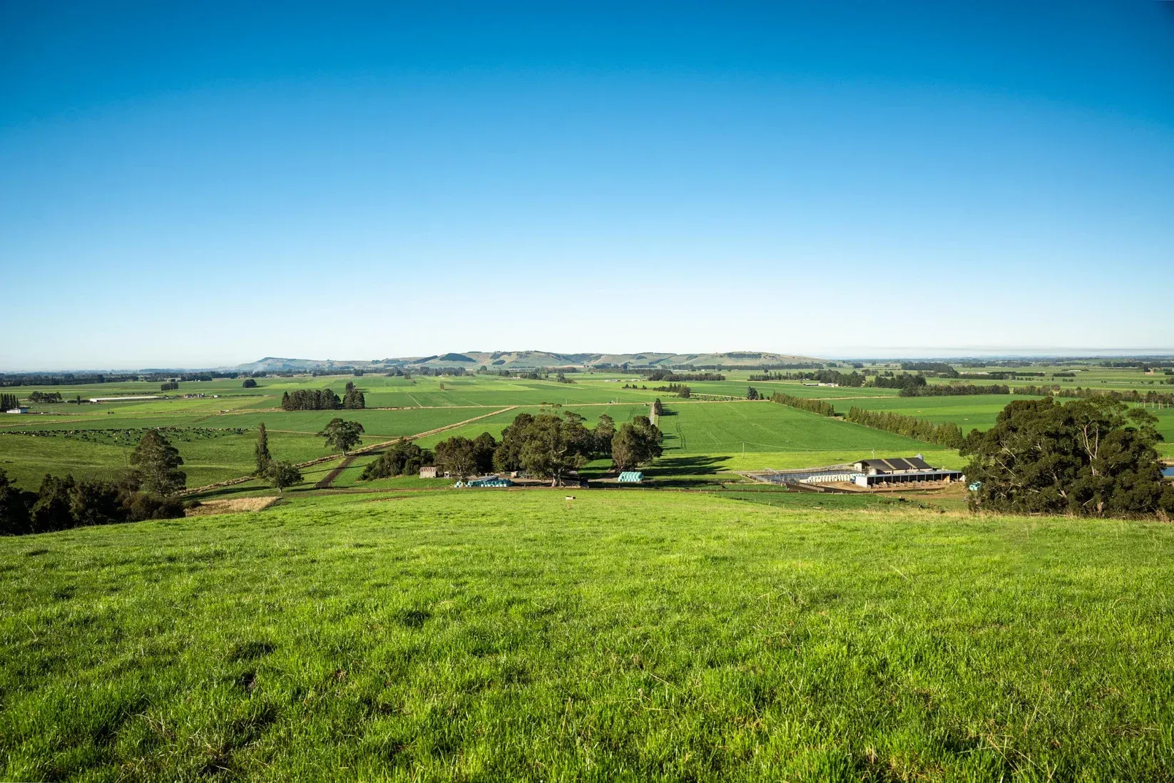 Expansive farmland view of Myross Bush, showcasing rural business opportunities near Invercargill.