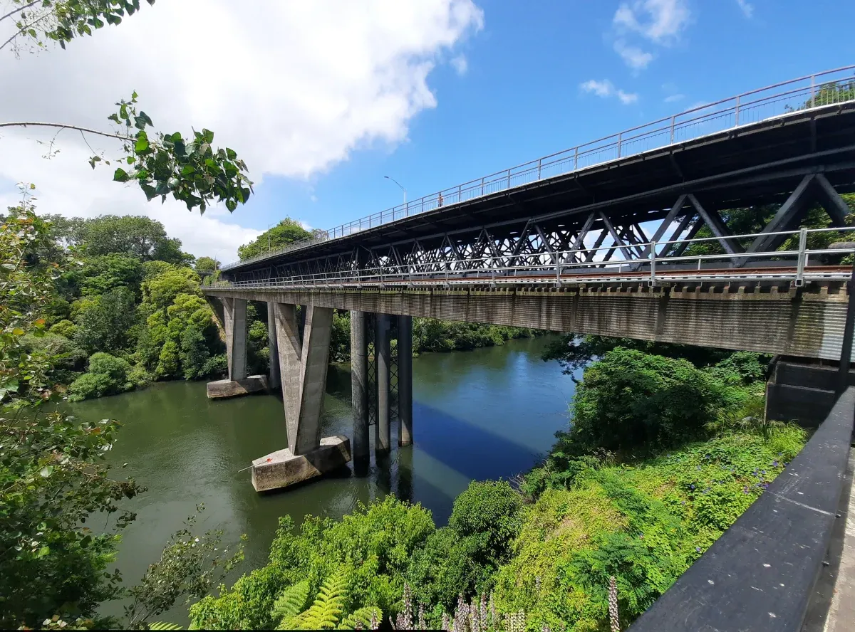 Bridge over Waikato River amidst lush greenery, Ngaruawahia, New Zealand.