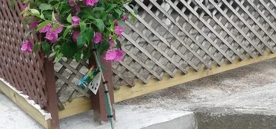 Placeholder