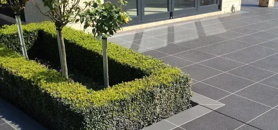 Placeholder