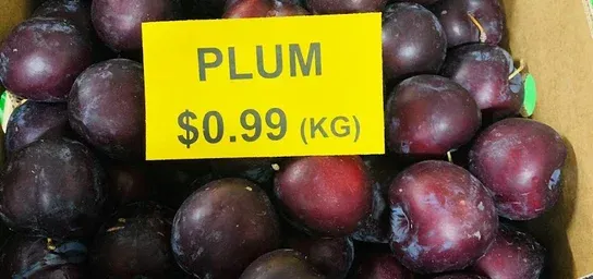 Placeholder