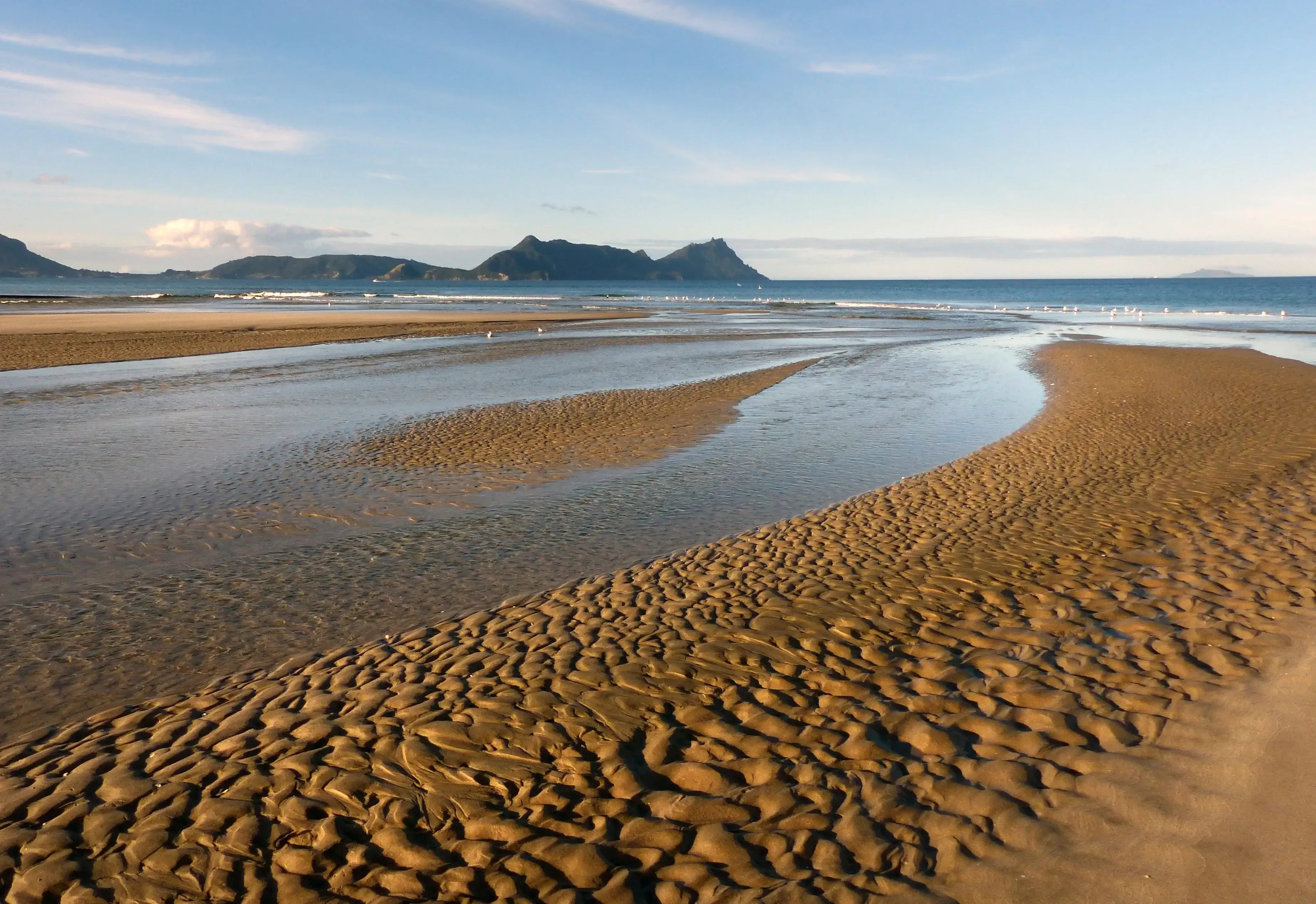 Ruakaka beach on a clear day