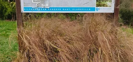 Placeholder