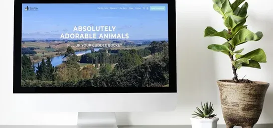 Placeholder