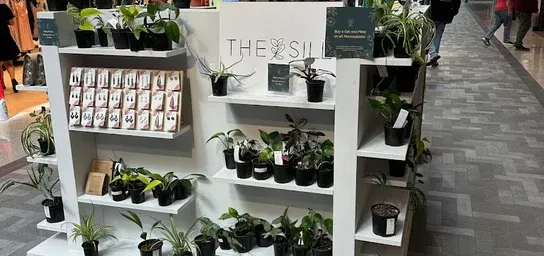 Placeholder