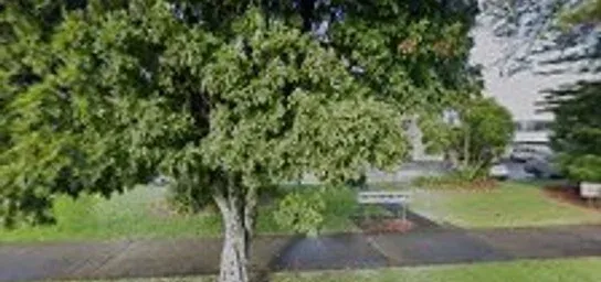 Placeholder