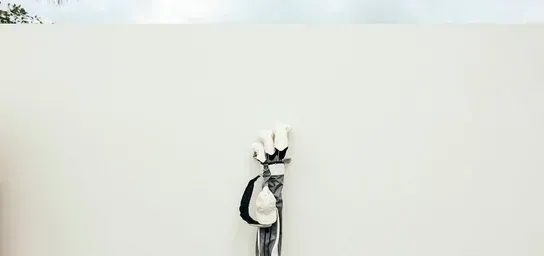 Placeholder