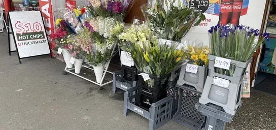 Placeholder
