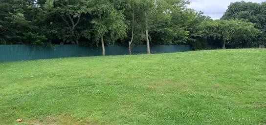 Placeholder