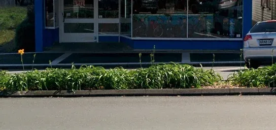 Placeholder