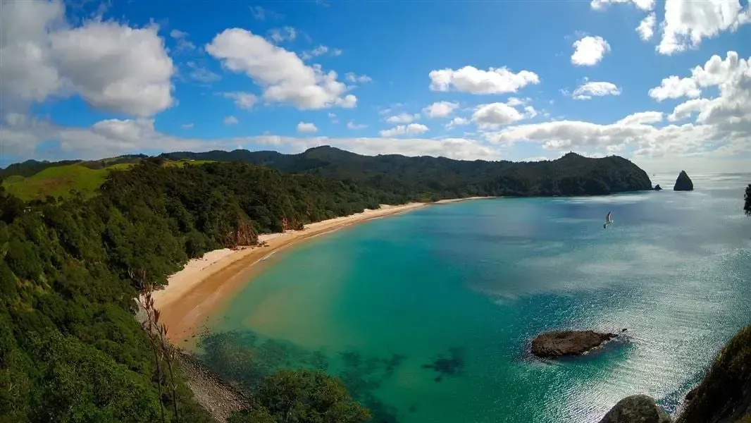 Whangapoua shoreline with clear blue skies