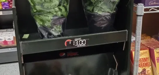 Placeholder